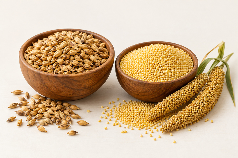 Malt & millet — illustration du produit